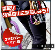 特集
